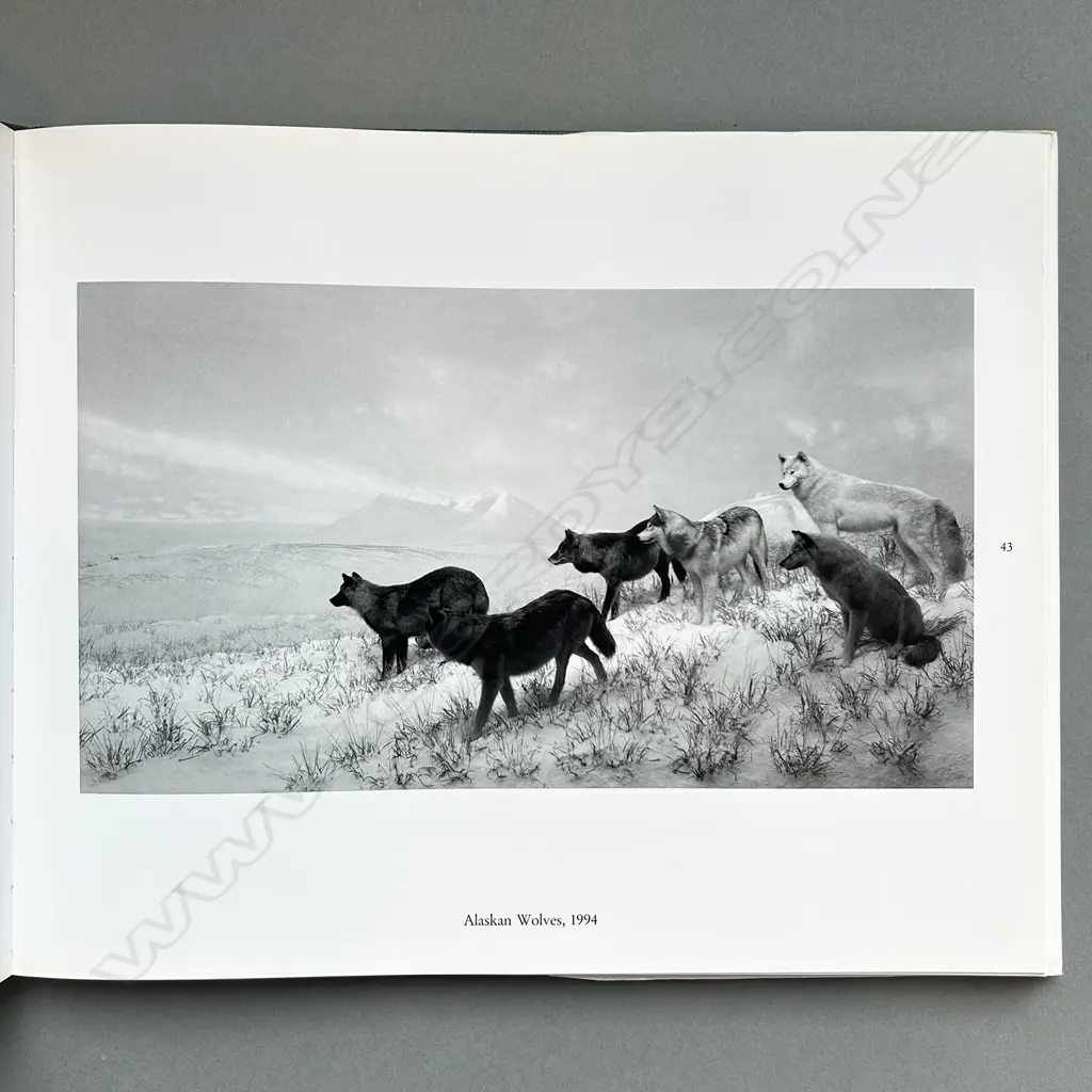 HIROSHI SUGIMOTO: TIME EXPOSED Image 1++